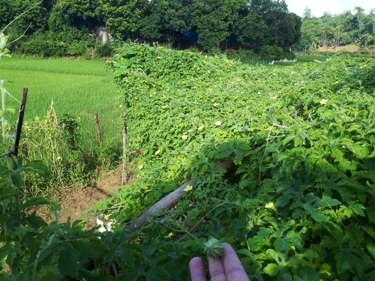 Meadow Mai Chau Homestay エクステリア 写真