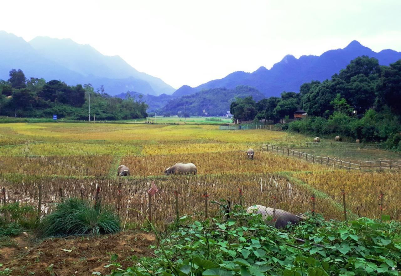 Meadow Mai Chau Homestay エクステリア 写真