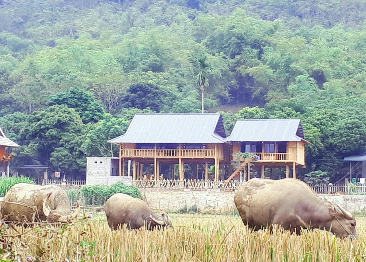 Meadow Mai Chau Homestay エクステリア 写真