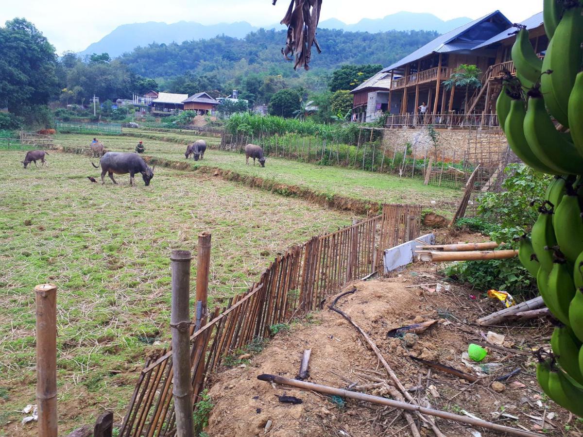 Meadow Mai Chau Homestay エクステリア 写真